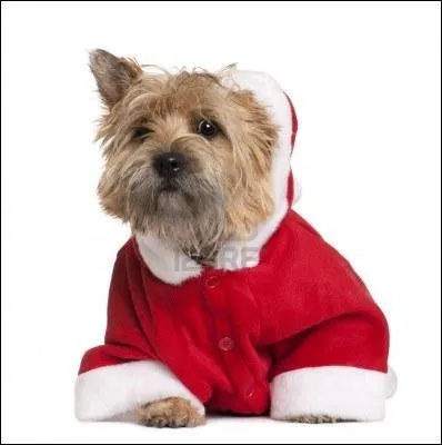 Quel est celui-ci qui vous souhaite  Merry Christmas  ?