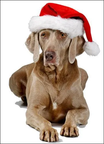 Qui se cache sous la tenue du Pre Nol ?