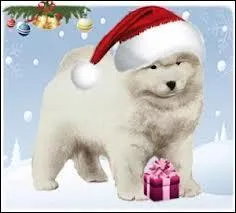 Adorable bb Pre Nol qui n'aura pas besoin de rennes pour tirer son traneau quand il sera grand !