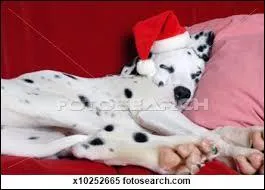 Si ce Pre Nol s'endort, vous n'tes pas prts  avoir vos cadeaux !