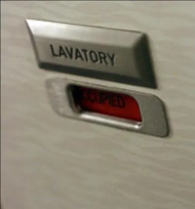 On va dire qu'il y a un malade dans les toilettes d'un avion. Que faites-vous !