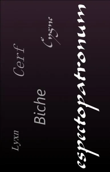 Quel est le sortilge de Confusion ?