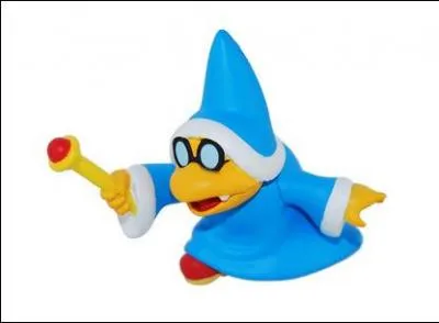 Comment s'appelle le sorcier ?