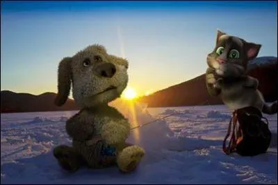 Tom et Ben sont meilleurs amis ?