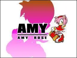 Comment s'appelle le marteau d'Amy ?