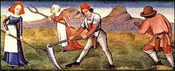 Que doivent les paysans au seigneur ?