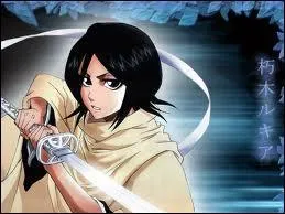 De quelle division Rukia fait-il partie ?