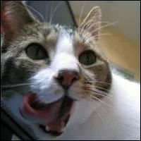 Une autre capitale aussi longue : Ouagadou...