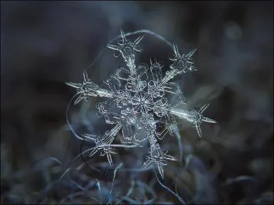 Magnifique non, mais de quoi s'agit-il ?