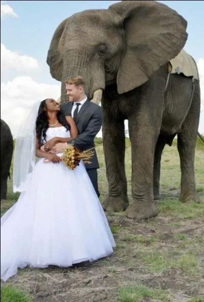 Sur quel continent ce mariage s'est-il droul ?