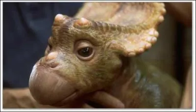 Comment s'appelle le dinosaure de Karl ?