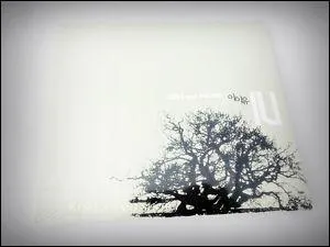 J'ai fait mes dbuts avec mon tout premier mini-album, qui se nomme ...