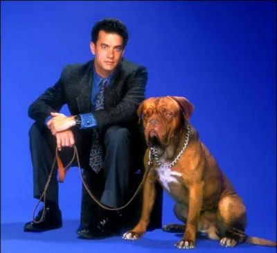 Hooch, le dogue de Bordeaux qui s'incruste dans l'existence du policier ...