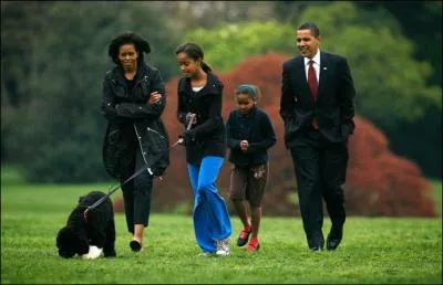 Bo , le chien de la famille Obama est un :