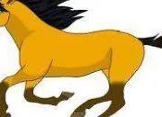 Quiz Pour les passionnés d'équitation