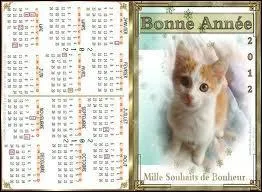 En terme d'unit de temps, comment appelle-t-on une anne de 365, 25 jours ?