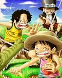 Quiz One piece