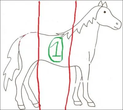 Comment se nomme la partie 1 du cheval ?