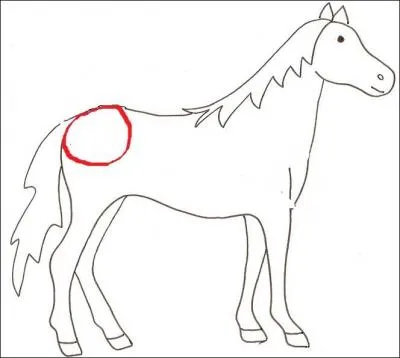 Comment s'appelle la partie entoure ?