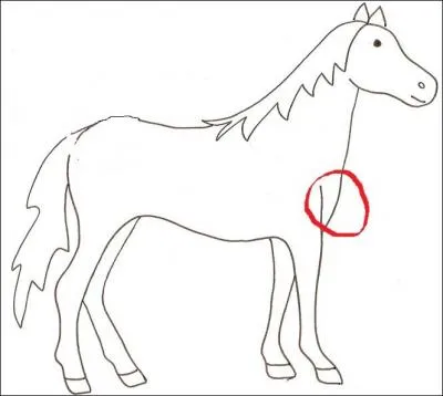 Comment s'appelle la partie entoure ?