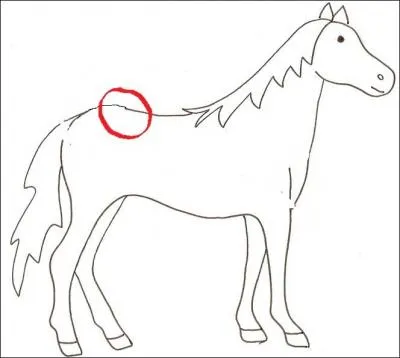 Comment s'appelle la partie entoure ?