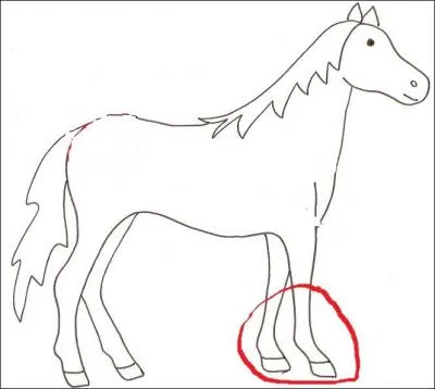 Comment s'appelle la partie entour e ?