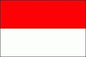  quel pays appartient ce drapeau ?