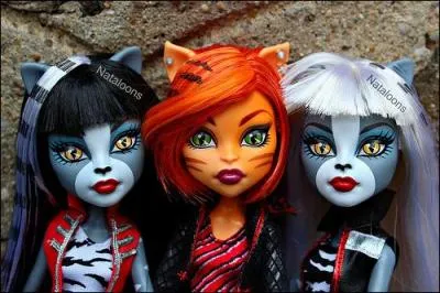 O se trouve Meowoldy ?