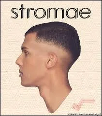Quel ge a Stromae (2013) ?