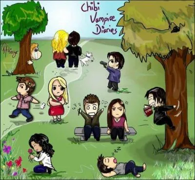 Combien y a-t-il de saisons ?