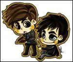 Qu'est-ce qui prot&egrave;ge Alaric de la mort ?