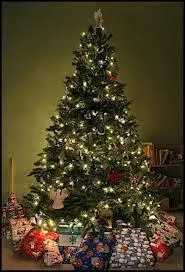 Le premier arbre de Noël est apparu au ...