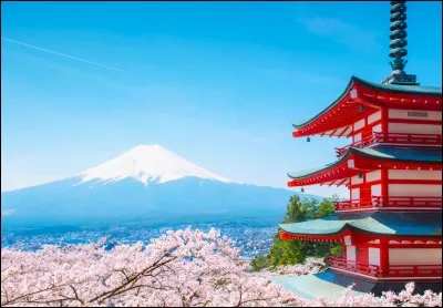 Au Japon, à quoi correspond Noël ?