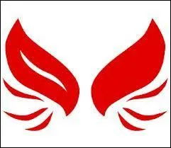 Comment s'appelle l'organisation possdant des Dark Brings ?