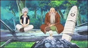 Qui tait le premier Rave Master ?