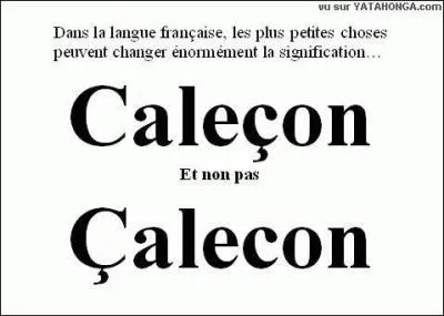 Qui a invent la cdille ?
