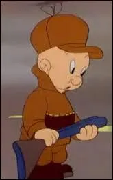 Chez Warner, qui est le chasseur dans les Looney Tunes ?