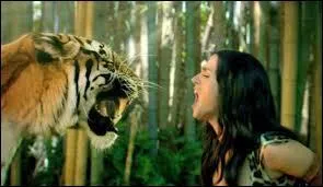 Quel est le titre du clip de Katy Perry ?