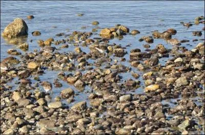 Celle-ci est encore moins vidente que la prcdente, avez-vous un oeil de lynx ?