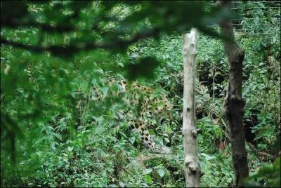 Une photo pour vous dtendre, plus facile !