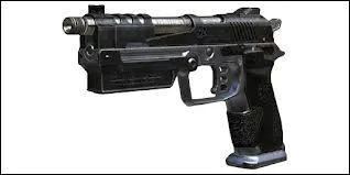 Quel est le nom de cette arme ?