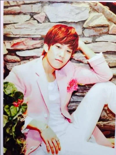 Qui est le chanteur principal ?