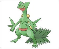 Quel est ce Pokmon et de quel type est-il ?