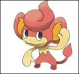 Quel est ce Pokmon et de quel type est-il ?