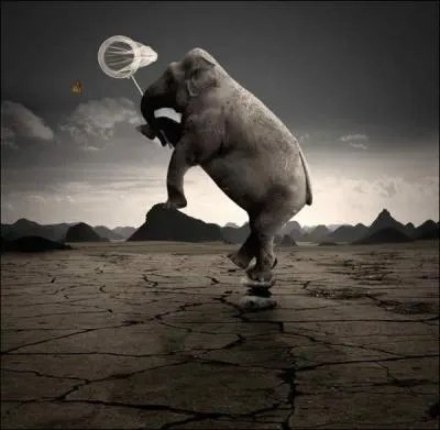 Durant la Grande Dpression, de petits cirques sillonnent l'Amrique en train, Jacob Jankowski se fait embaucher dans l'un d'eux comme soigneur !