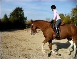 Pour rester en quilibre sur les triers, vous ...