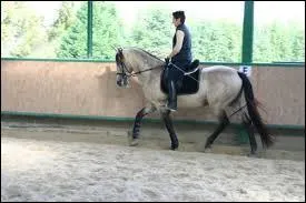 En quilibre au trot, vous ...