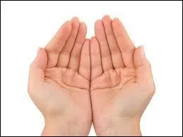 Quand on est en quilibre nos mains sont ...