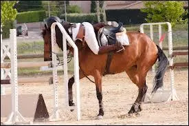 Quels sont les problmes si vous abordez un obstacle de travers ?