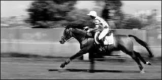 Quand on volue seul, que faut-il faire, quelle que soit l'allure, vous devez ...